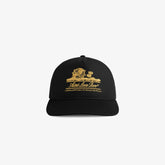 Unisphere Hat