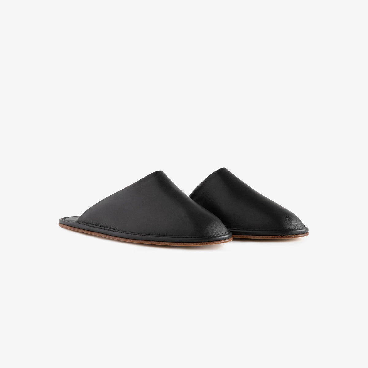 Leather   Travel Slipper