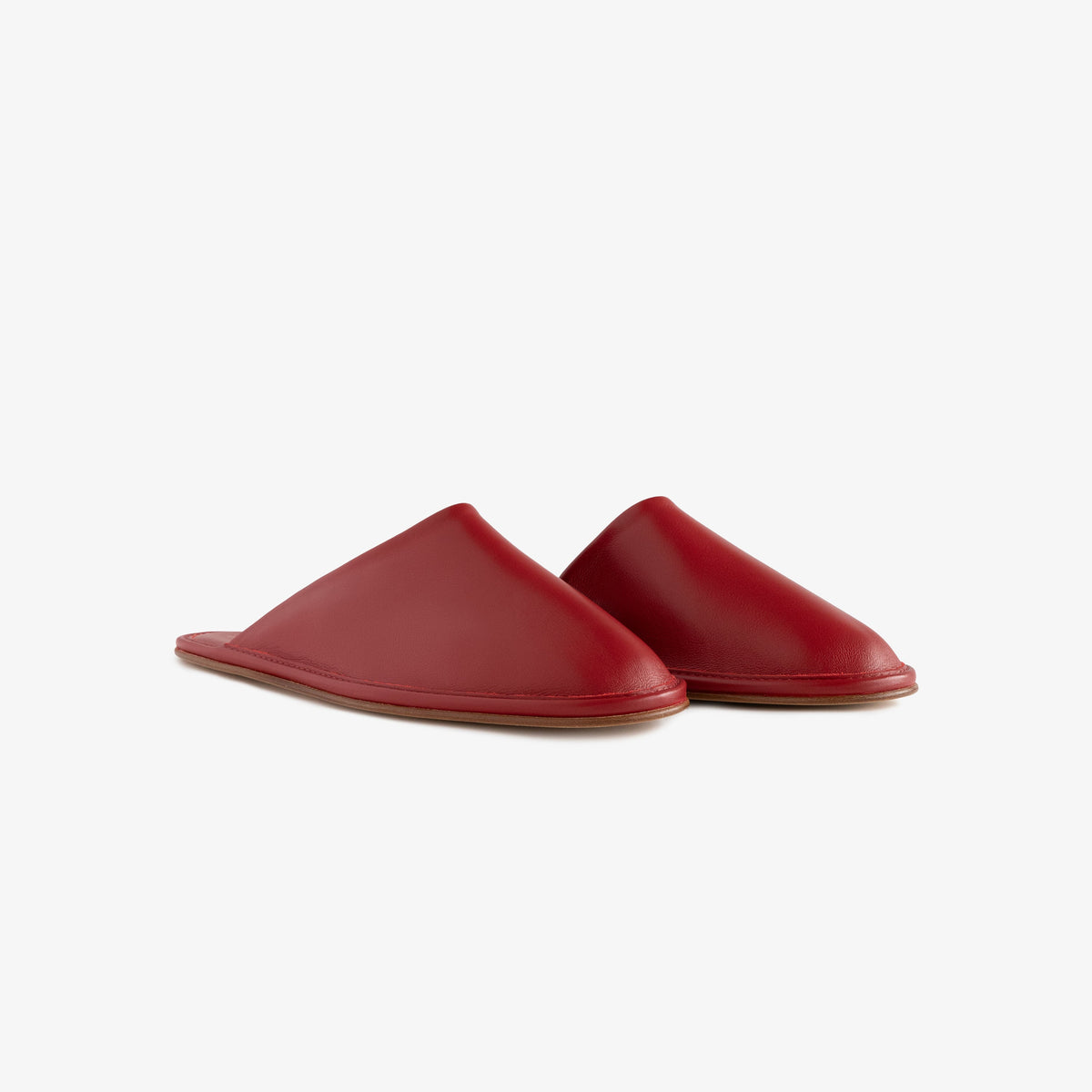 Leather   Travel Slipper
