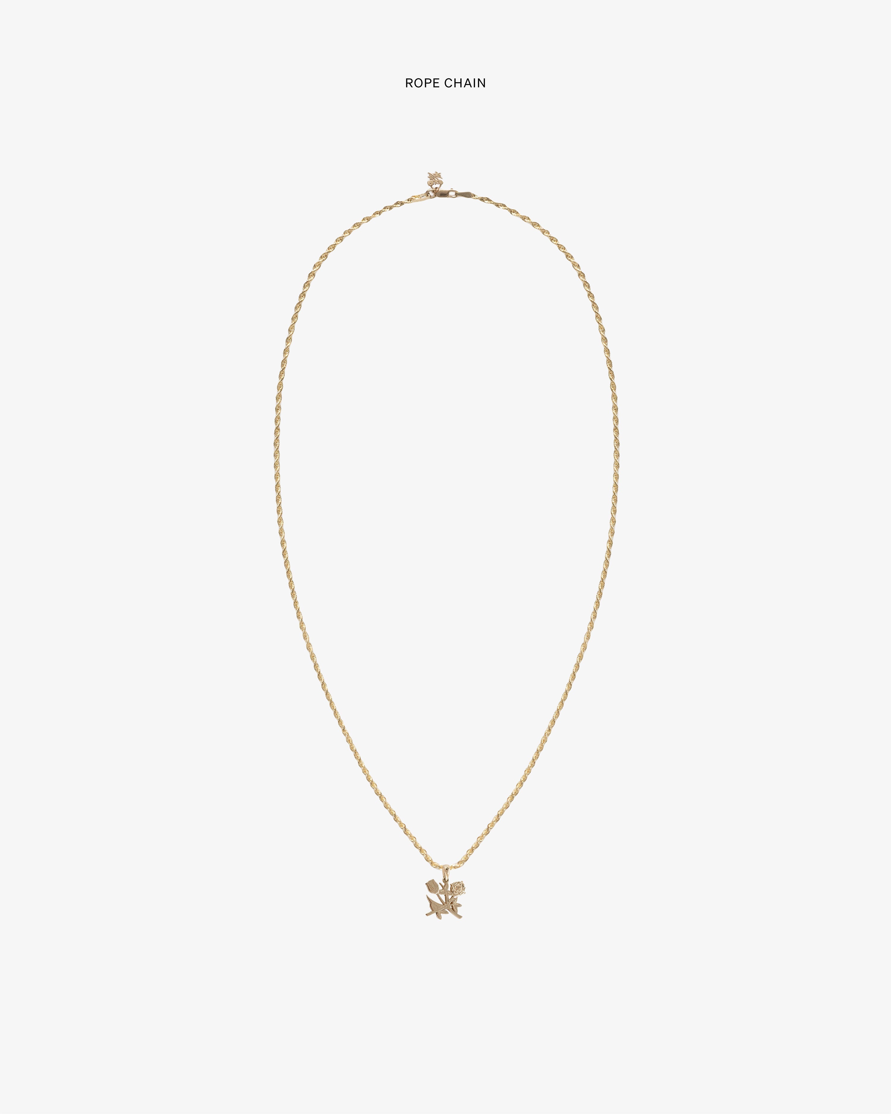14Kt Gold  Pendant