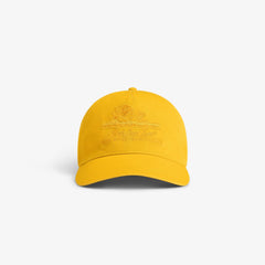 Sun Faded Unisphere Hat